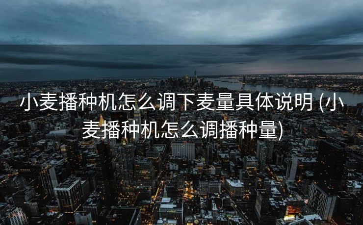 小麦播种机怎么调下麦量具体说明 (小麦播种机怎么调播种量)