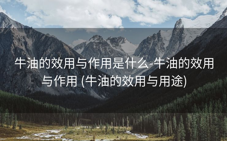 牛油的效用与作用是什么-牛油的效用与作用 (牛油的效用与用途)