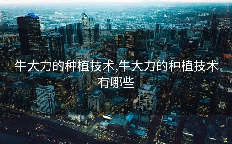 牛大力的种植技术,牛大力的种植技术有哪些