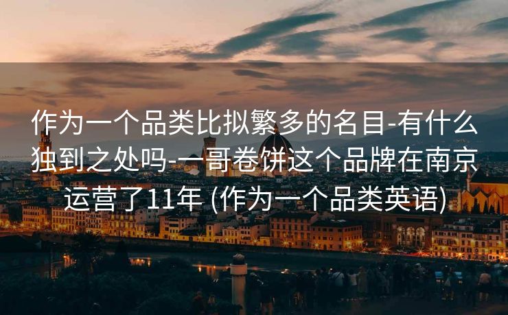 作为一个品类比拟繁多的名目-有什么独到之处吗-一哥卷饼这个品牌在南京运营了11年 (作为一个品类英语)