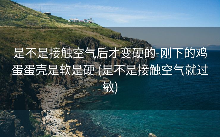 是不是接触空气后才变硬的-刚下的鸡蛋蛋壳是软是硬 (是不是接触空气就过敏)