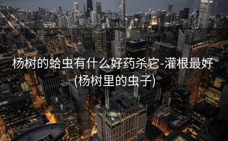 杨树的蛤虫有什么好药杀它-灌根最好 (杨树里的虫子)