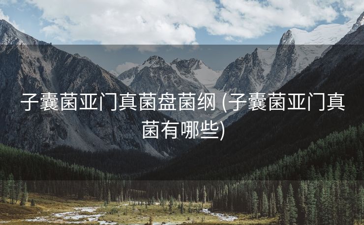 子囊菌亚门真菌盘菌纲 (子囊菌亚门真菌有哪些)