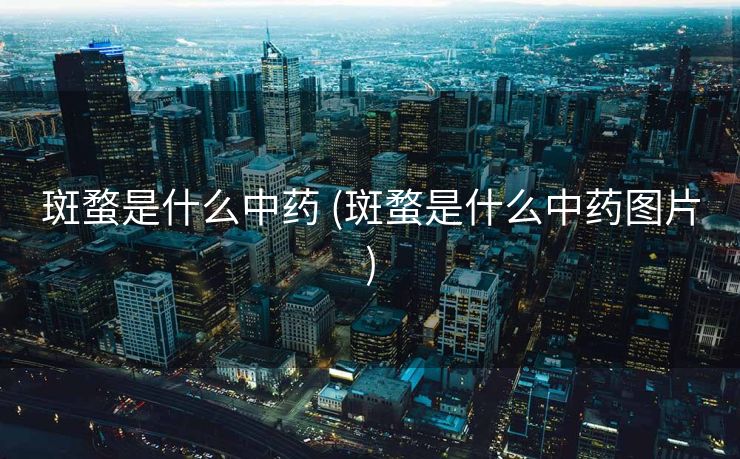 斑蝥是什么中药 (斑蝥是什么中药图片)