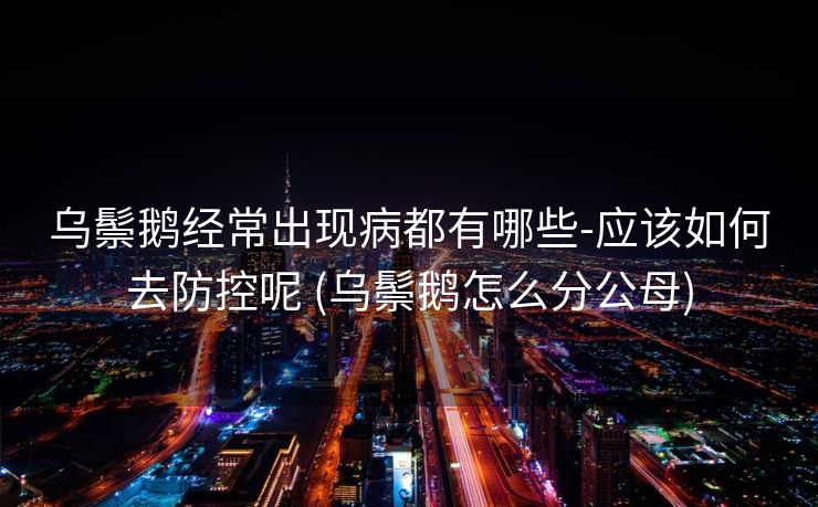 乌鬃鹅经常出现病都有哪些-应该如何去防控呢 (乌鬃鹅怎么分公母)