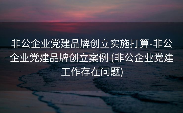 非公企业党建品牌创立实施打算-非公企业党建品牌创立案例 (非公企业党建工作存在问题)