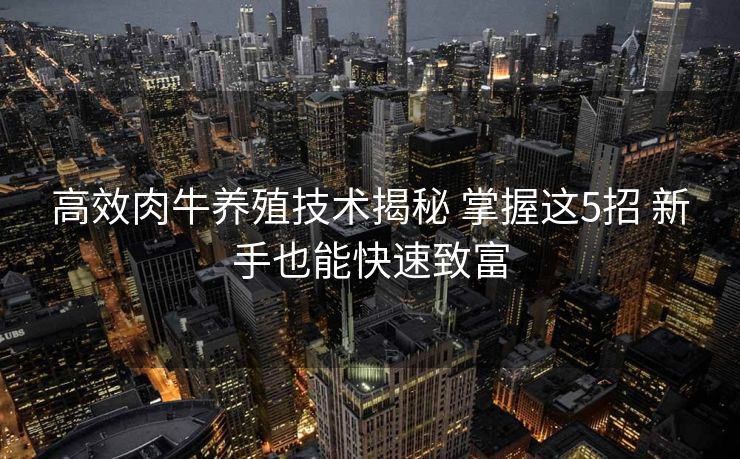 高效肉牛养殖技术揭秘 掌握这5招 新手也能快速致富