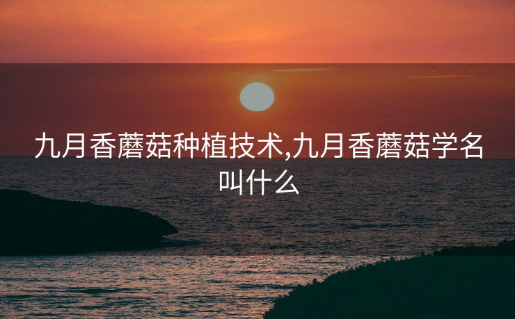 九月香蘑菇种植技术,九月香蘑菇学名叫什么