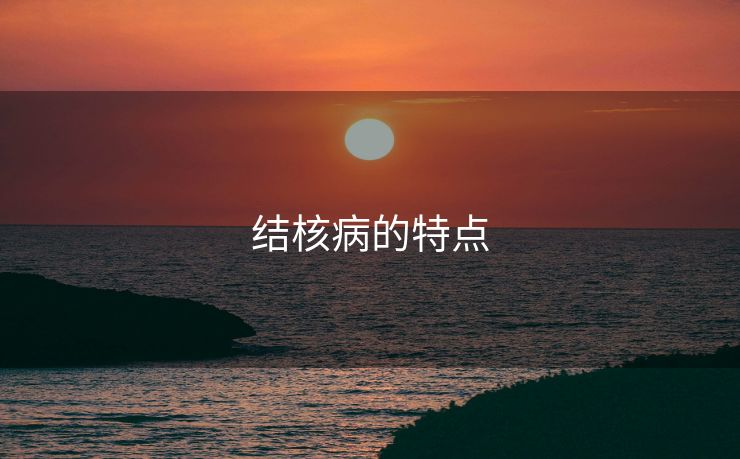 结核病的特点