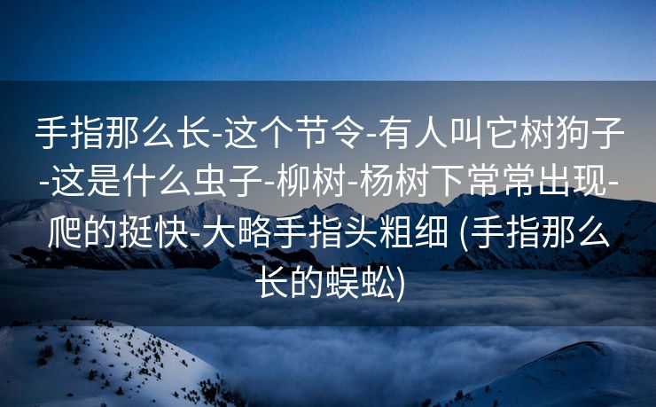 手指那么长-这个节令-有人叫它树狗子-这是什么虫子-柳树-杨树下常常出现-爬的挺快-大略手指头粗细 (手指那么长的蜈蚣)