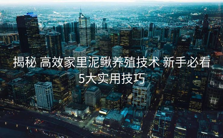 揭秘 高效家里泥鳅养殖技术 新手必看5大实用技巧