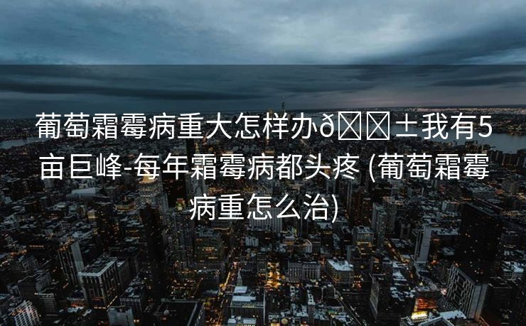 葡萄霜霉病重大怎样办😱我有5亩巨峰-每年霜霉病都头疼 (葡萄霜霉病重怎么治)
