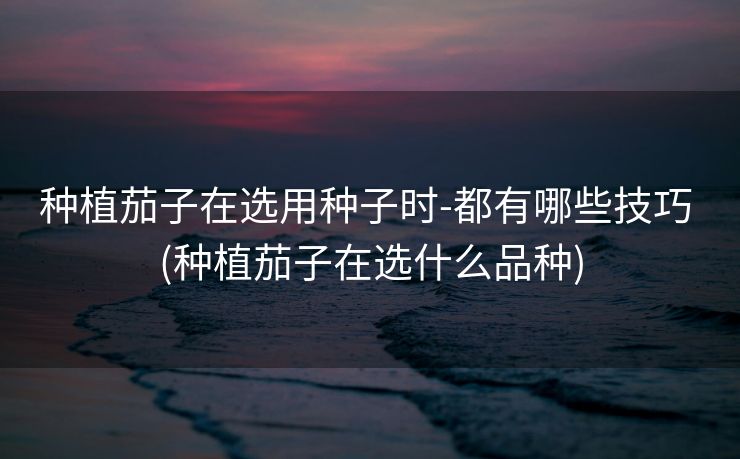 种植茄子在选用种子时-都有哪些技巧 (种植茄子在选什么品种)