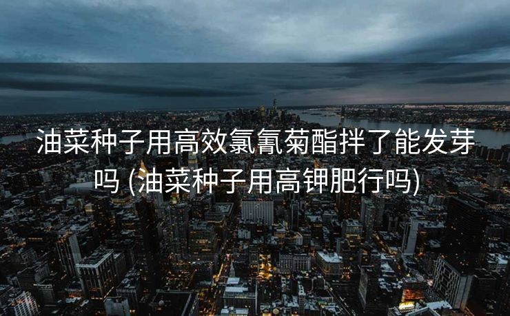 油菜种子用高效氯氰菊酯拌了能发芽吗 (油菜种子用高钾肥行吗)