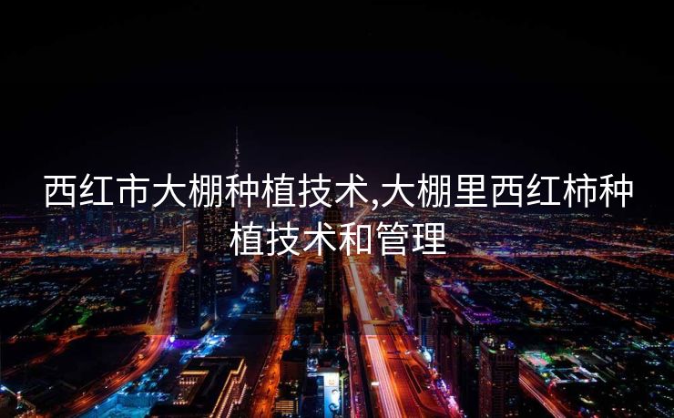 西红市大棚种植技术,大棚里西红柿种植技术和管理