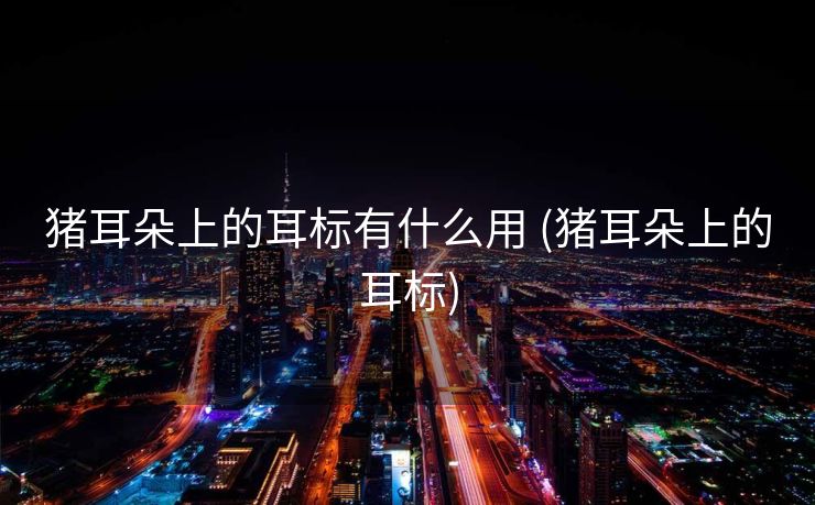 猪耳朵上的耳标有什么用 (猪耳朵上的耳标)