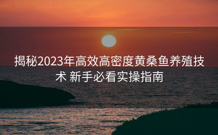 揭秘2023年高效高密度黄桑鱼养殖技术 新手必看实操指南
