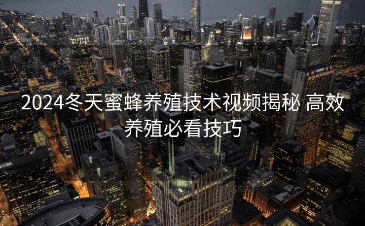 2024冬天蜜蜂养殖技术视频揭秘 高效养殖必看技巧