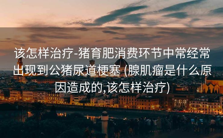 该怎样治疗-猪育肥消费环节中常经常出现到公猪尿道梗塞 (腺肌瘤是什么原因造成的,该怎样治疗)