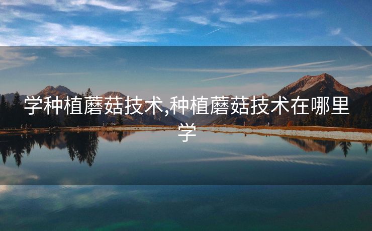 学种植蘑菇技术,种植蘑菇技术在哪里学