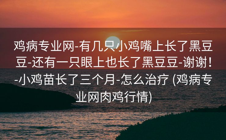 鸡病专业网-有几只小鸡嘴上长了黑豆豆-还有一只眼上也长了黑豆豆-谢谢！-小鸡苗长了三个月-怎么治疗 (鸡病专业网肉鸡行情)