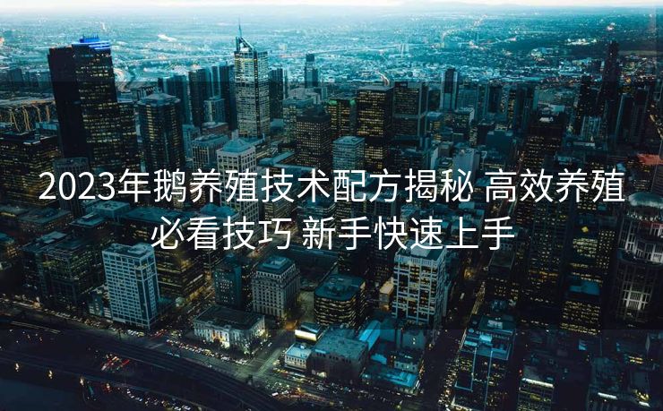 2023年鹅养殖技术配方揭秘 高效养殖必看技巧 新手快速上手