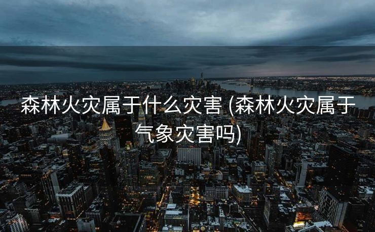 森林火灾属于什么灾害 (森林火灾属于气象灾害吗)