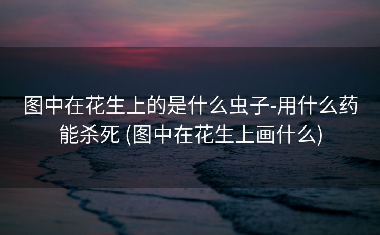 图中在花生上的是什么虫子-用什么药能杀死 (图中在花生上画什么)