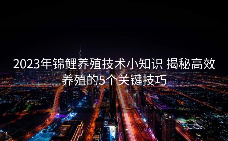 2023年锦鲤养殖技术小知识 揭秘高效养殖的5个关键技巧