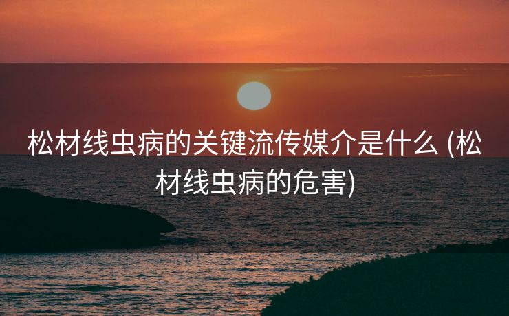 松材线虫病的关键流传媒介是什么 (松材线虫病的危害)