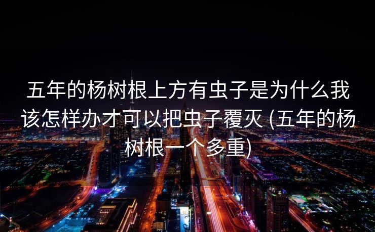 五年的杨树根上方有虫子是为什么我该怎样办才可以把虫子覆灭 (五年的杨树根一个多重)