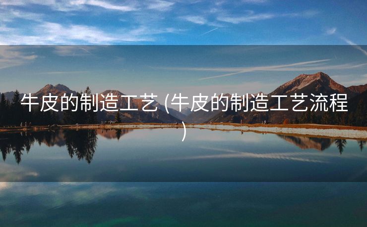 牛皮的制造工艺 (牛皮的制造工艺流程)