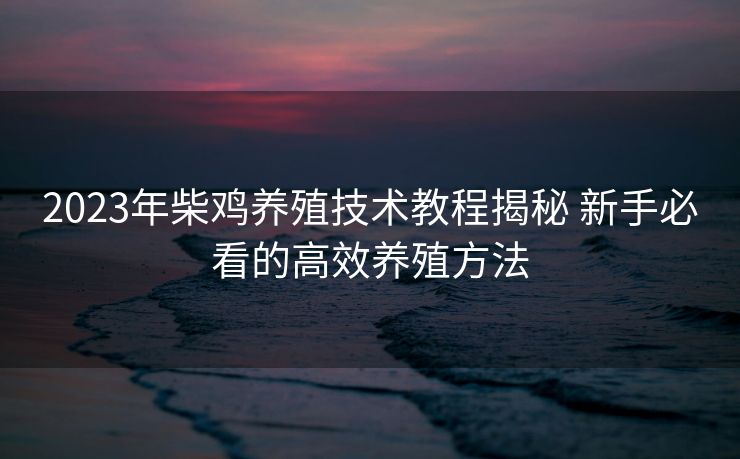 2023年柴鸡养殖技术教程揭秘 新手必看的高效养殖方法