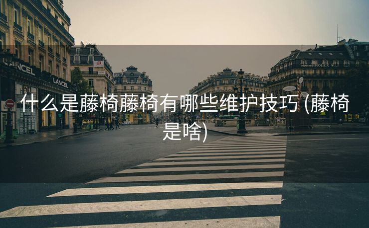 什么是藤椅藤椅有哪些维护技巧 (藤椅是啥)
