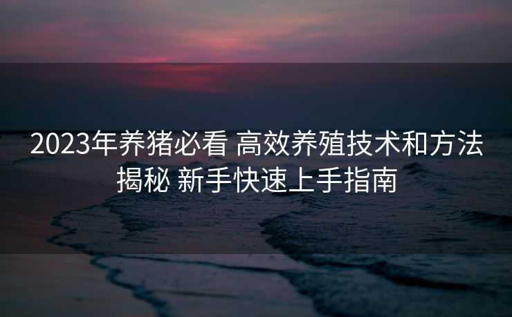 2023年养猪必看 高效养殖技术和方法揭秘 新手快速上手指南
