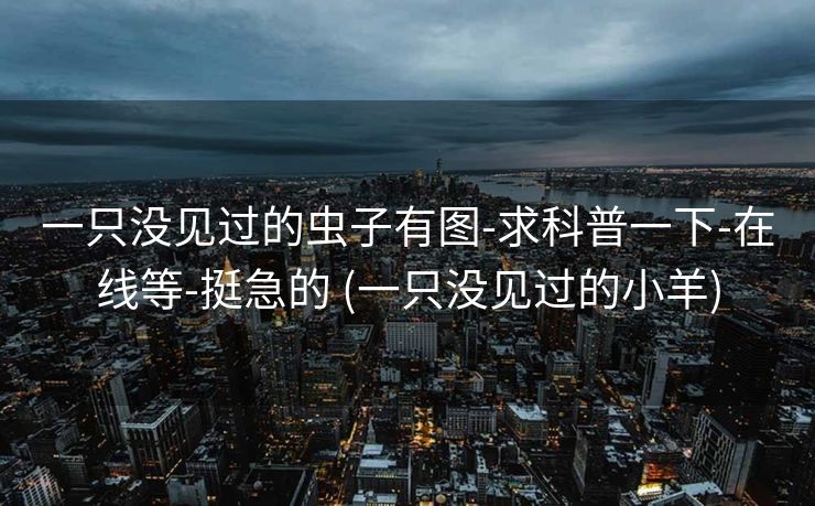 一只没见过的虫子有图-求科普一下-在线等-挺急的 (一只没见过的小羊)