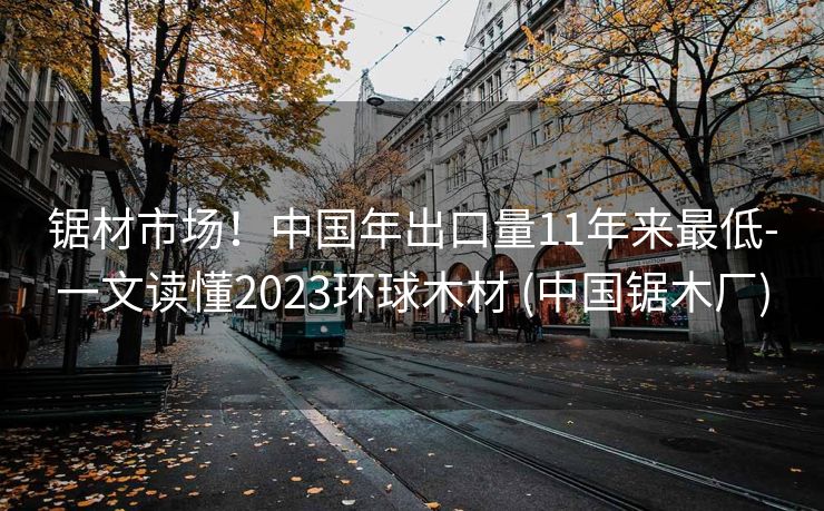 锯材市场！中国年出口量11年来最低-一文读懂2023环球木材 (中国锯木厂)