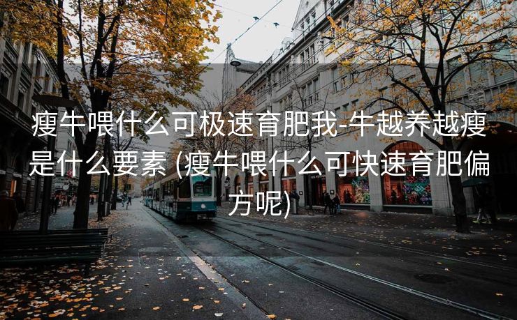 瘦牛喂什么可极速育肥我-牛越养越瘦是什么要素 (瘦牛喂什么可快速育肥偏方呢)