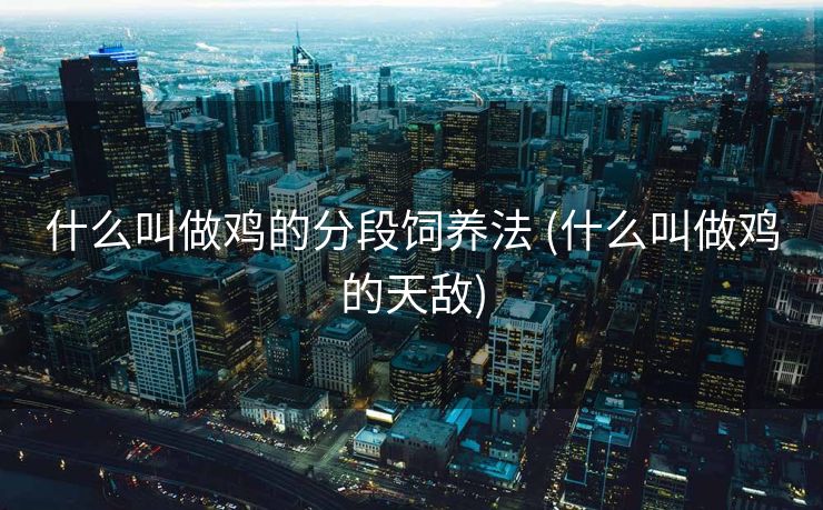 什么叫做鸡的分段饲养法 (什么叫做鸡的天敌)