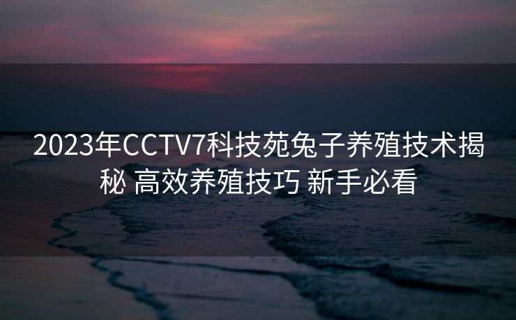 2023年CCTV7科技苑兔子养殖技术揭秘 高效养殖技巧 新手必看