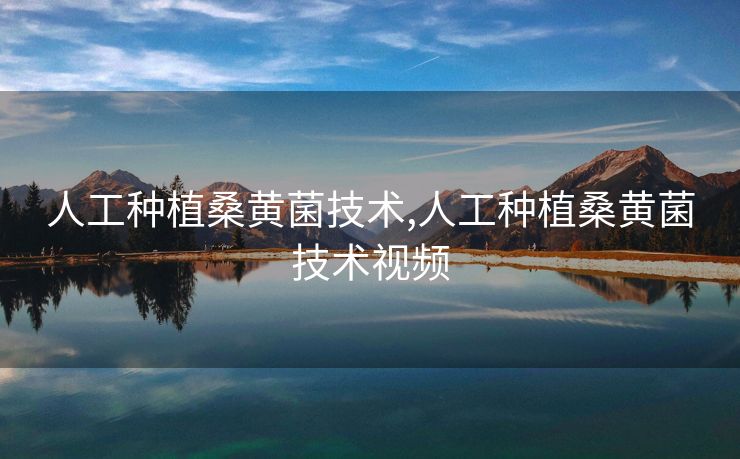 人工种植桑黄菌技术,人工种植桑黄菌技术视频