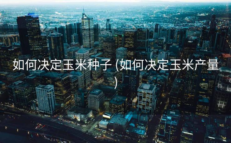 如何决定玉米种子 (如何决定玉米产量)