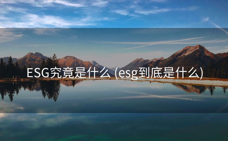 ESG究竟是什么 (esg到底是什么)