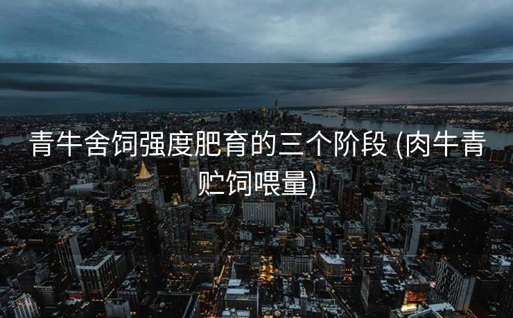 青牛舍饲强度肥育的三个阶段 (肉牛青贮饲喂量)