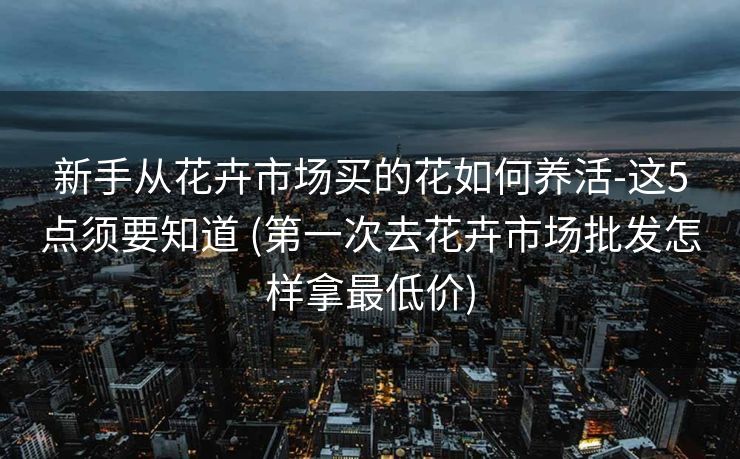 新手从花卉市场买的花如何养活-这5点须要知道 (第一次去花卉市场批发怎样拿最低价)