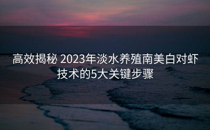 高效揭秘 2023年淡水养殖南美白对虾技术的5大关键步骤