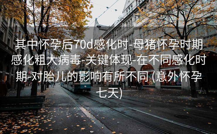 其中怀孕后70d感化时-母猪怀孕时期感化粗大病毒-关键体现-在不同感化时期-对胎儿的影响有所不同 (意外怀孕七天)