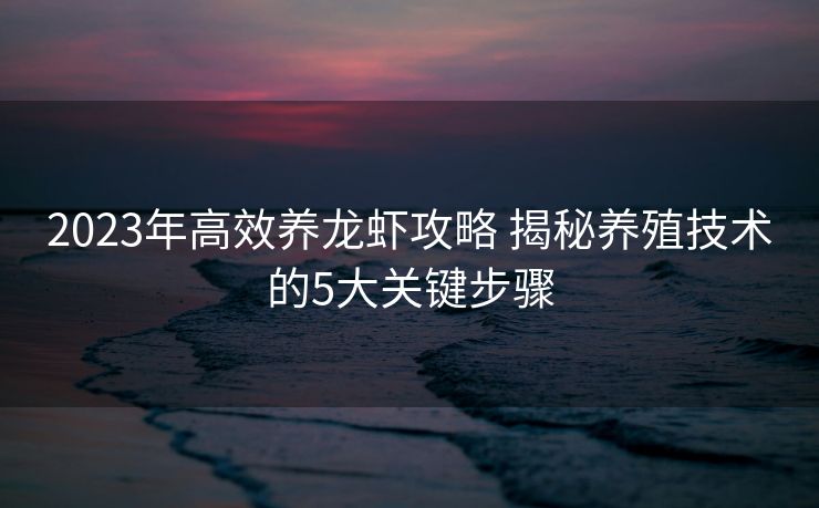 2023年高效养龙虾攻略 揭秘养殖技术的5大关键步骤
