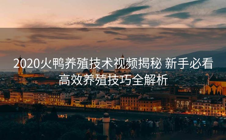 2020火鸭养殖技术视频揭秘 新手必看高效养殖技巧全解析