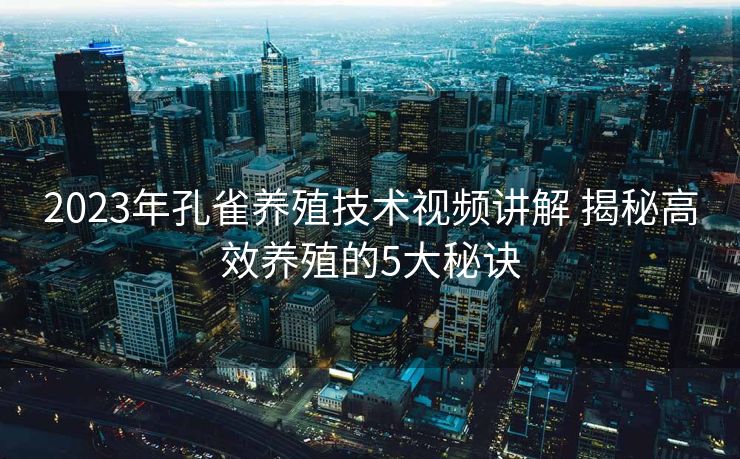 2023年孔雀养殖技术视频讲解 揭秘高效养殖的5大秘诀